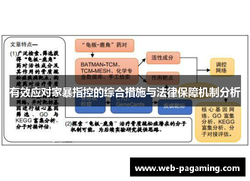 有效应对家暴指控的综合措施与法律保障机制分析