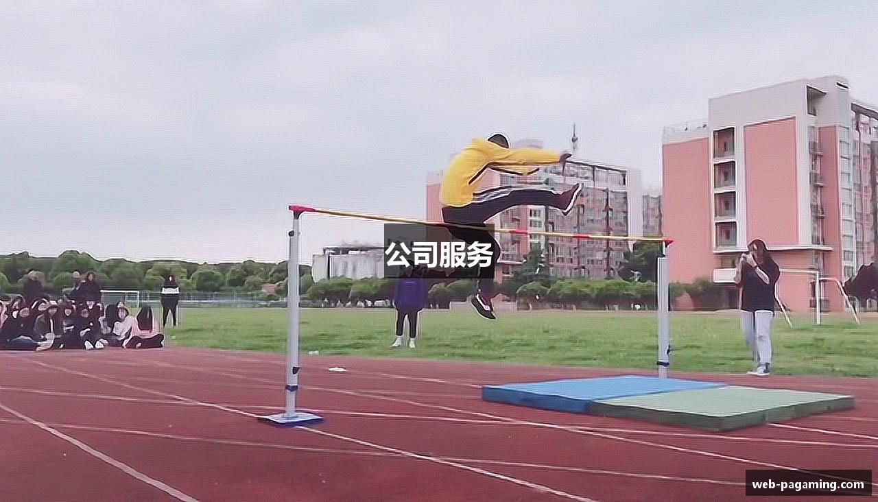 公司服务